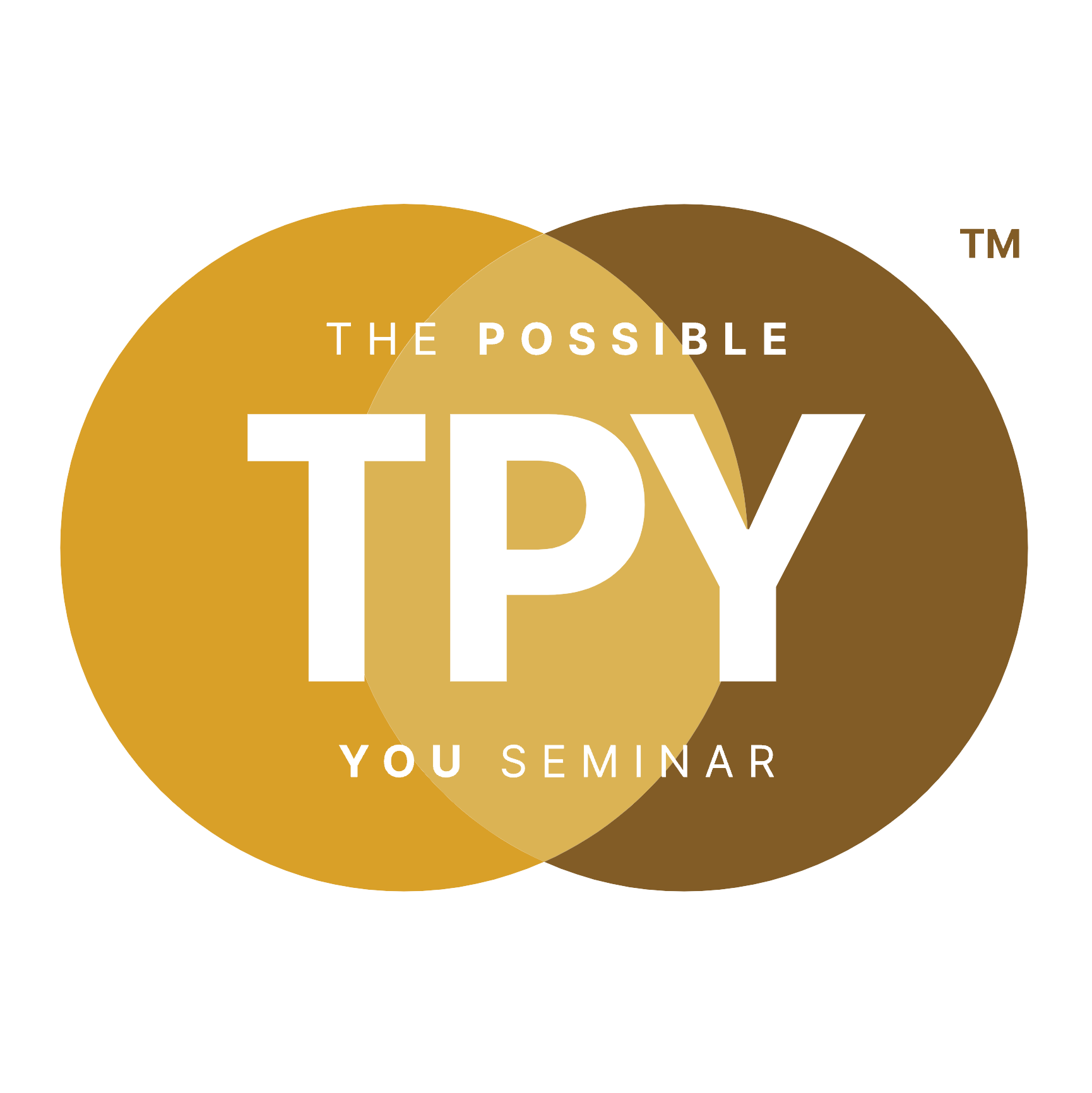 Logo in transparent background v2